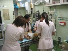 摜(220x165)Eg摜(640x480)