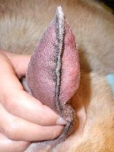 摜(165x220)Eg摜(240x320)