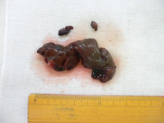 摜(330x247)Eg摜(640x480)