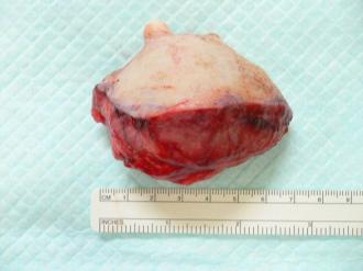 摜(330x247)Eg摜(640x480)