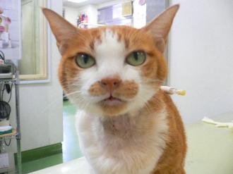 摜(330x247)Eg摜(640x480)