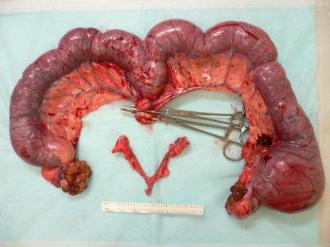 摜(330x247)Eg摜(640x480)