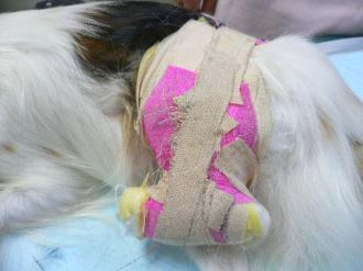 摜(330x247)Eg摜(640x480)