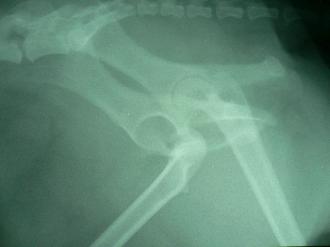 摜(330x247)Eg摜(640x480)