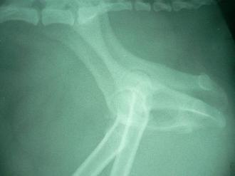 摜(330x247)Eg摜(640x480)