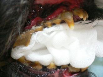 摜(330x247)Eg摜(640x480)