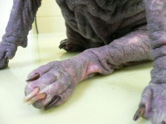 摜(330x247)Eg摜(640x480)