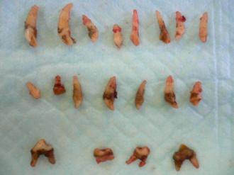 摜(330x247)Eg摜(640x480)