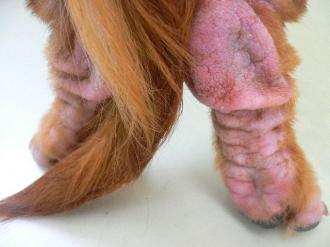 摜(330x247)Eg摜(640x480)