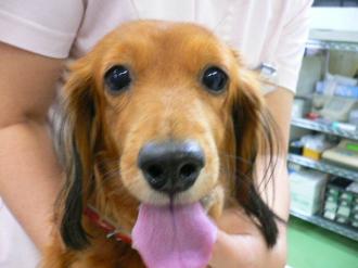 摜(330x247)Eg摜(640x480)