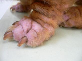 摜(330x247)Eg摜(640x480)