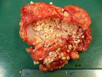 画像(330x247)・拡大画像(640x480)