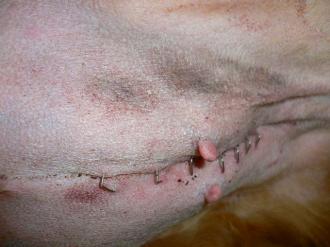 摜(330x247)Eg摜(640x480)