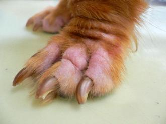 摜(330x247)Eg摜(640x480)