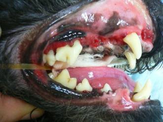 摜(330x247)Eg摜(640x480)