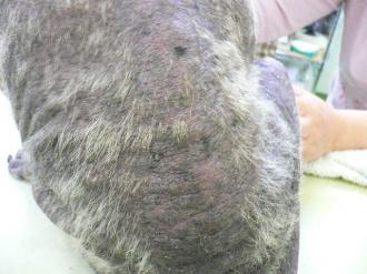 摜(330x247)Eg摜(640x480)