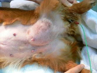 摜(330x247)Eg摜(640x480)