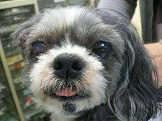 摜(330x247)Eg摜(640x480)