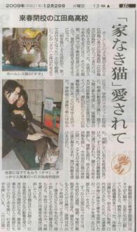 摜(196x330)Eg摜(381x640)