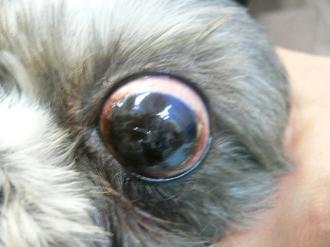 摜(330x247)Eg摜(640x480)