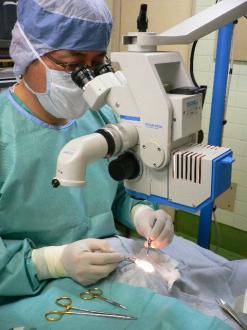 摜(247x330)Eg摜(480x640)