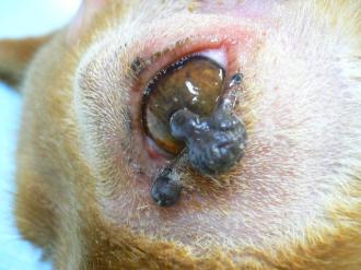 摜(330x247)Eg摜(640x480)