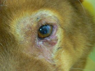 摜(330x247)Eg摜(640x480)