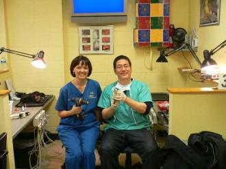 画像(330x247)・拡大画像(640x480)