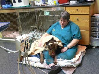 画像(330x247)・拡大画像(640x480)