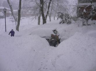 摜(330x247)Eg摜(640x480)