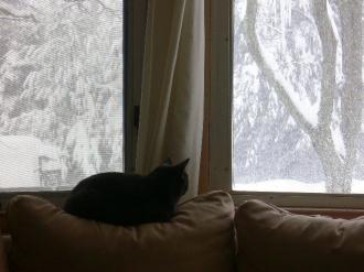 画像(330x247)・拡大画像(640x480)