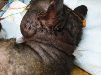 画像(330x247)・拡大画像(640x480)