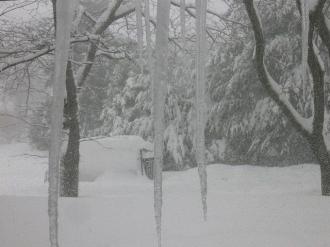 画像(330x247)・拡大画像(640x480)