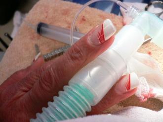 画像(330x247)・拡大画像(640x480)