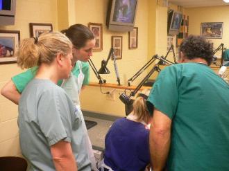 画像(330x247)・拡大画像(640x480)