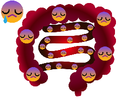 画像(236x196)